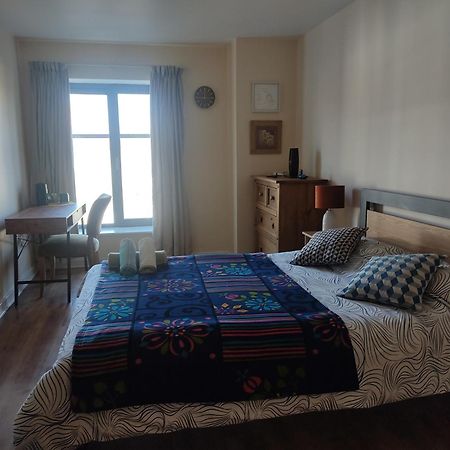 Swallows Nest - Spacious Bright Double Bedroom With Ensuite Bathroom 都柏林 外观 照片