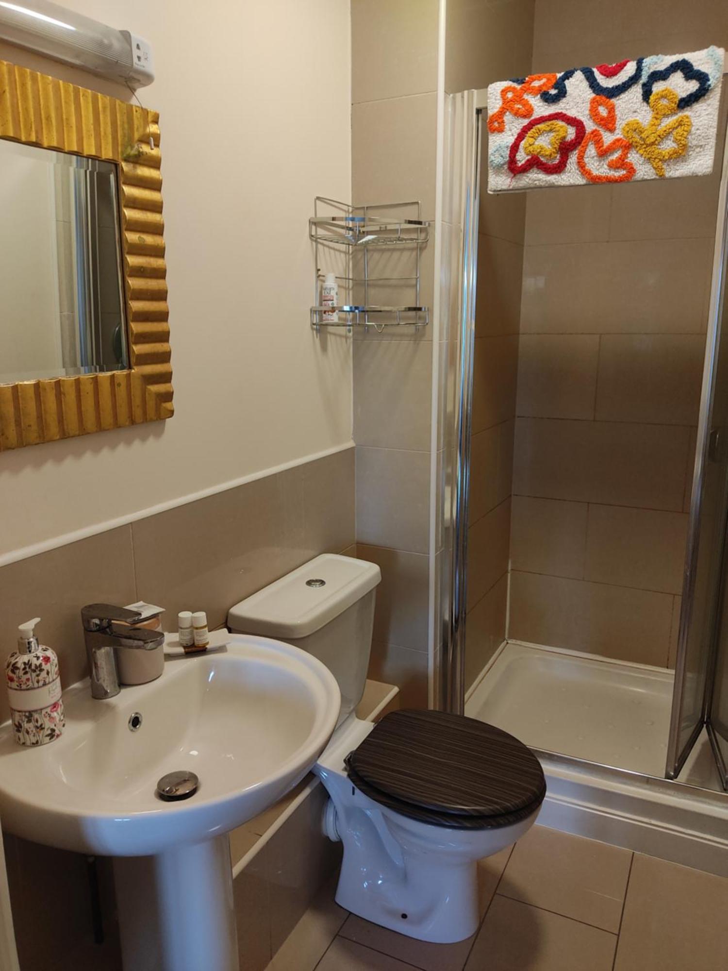 Swallows Nest - Spacious Bright Double Bedroom With Ensuite Bathroom 都柏林 外观 照片